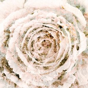 Brazilian Cut Holographic Thong Set